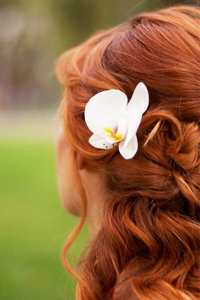 Wedding Hairstyles  Flowers on Wedding Hairstyles With Long Curls Wedding Updo     Curly With Flowers
